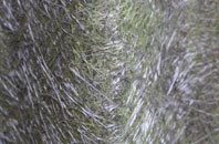 East Clevedon fibreglass roof work