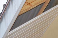 rated East Clevedon soffit repair companies